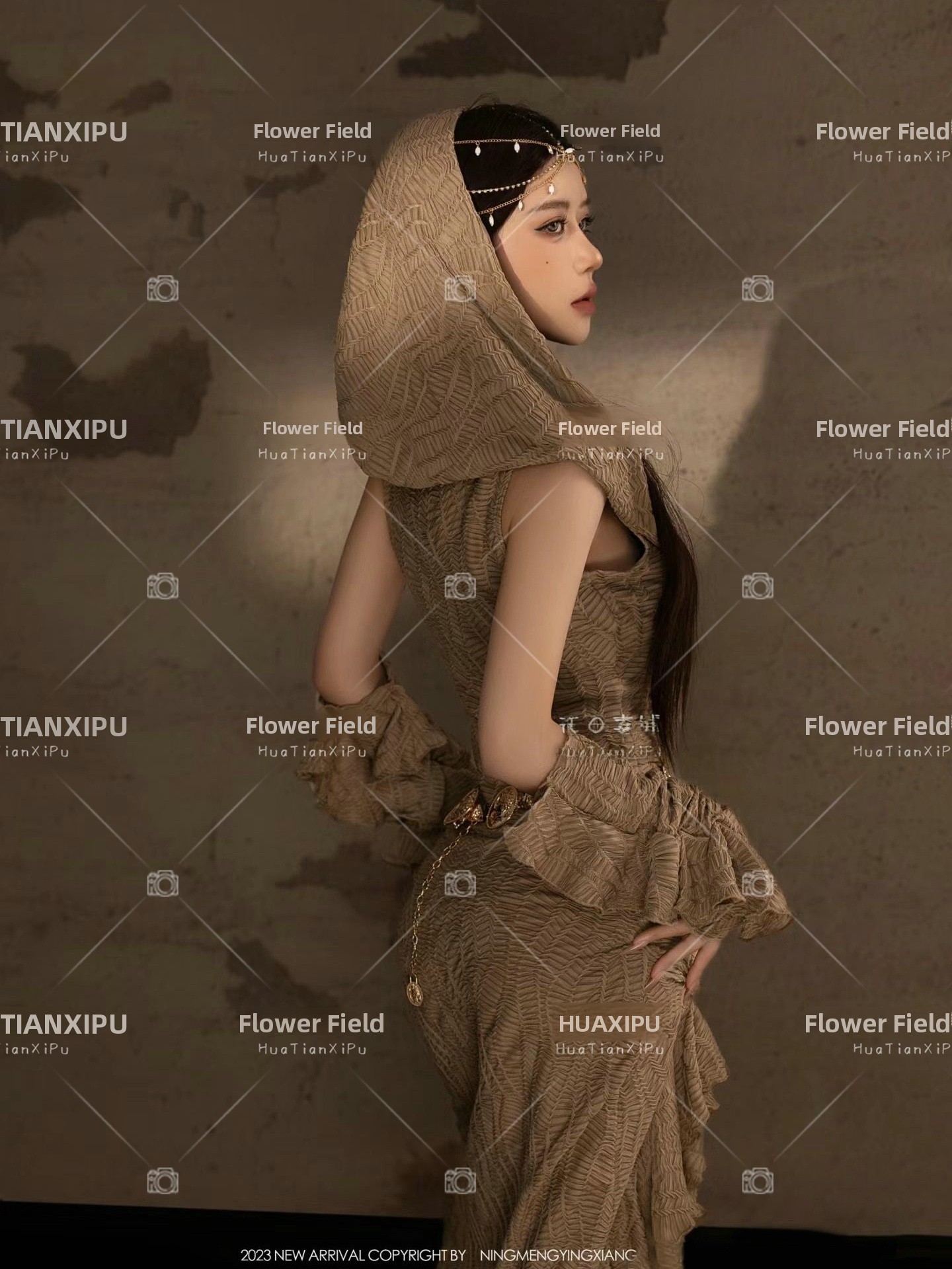 New Desert  Princess Style Pho - Ethnic Fashion Photography 评论和价格