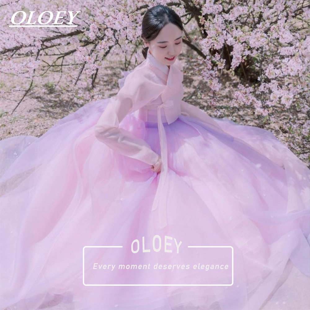 OLOEY Vintage Hanbok 2 PCS Kor - Hanbok Modern Set 评论和价格